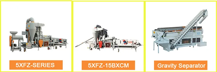 Quinoa, Maize, Mung Bean Seed Cleaning Processing Machine 5xfz-15bxtm
