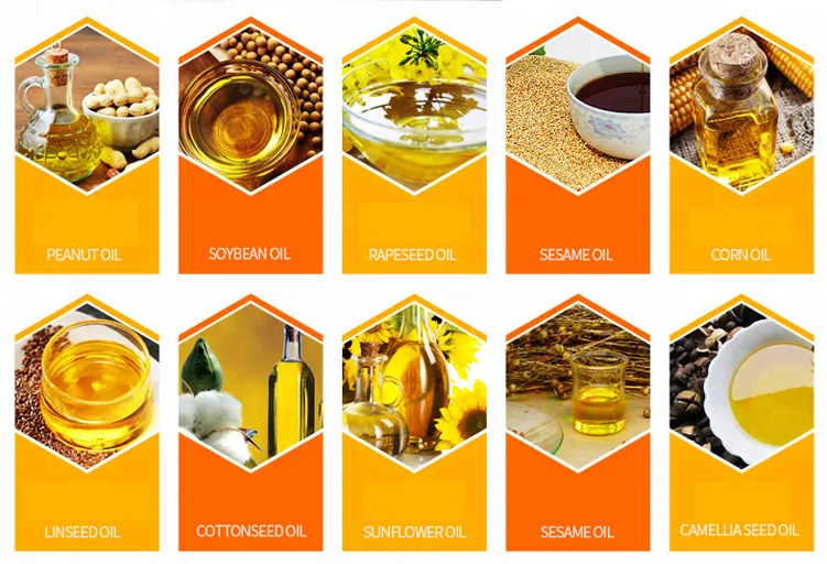 Reliable Supplier Automatic Sesame Soybean Peanut Hydraulic Oil Press with Skillful Manufacture