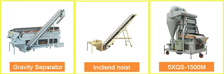 Rice Corn Grain Destoner Machine Stoning Remover 5xqs-1500m