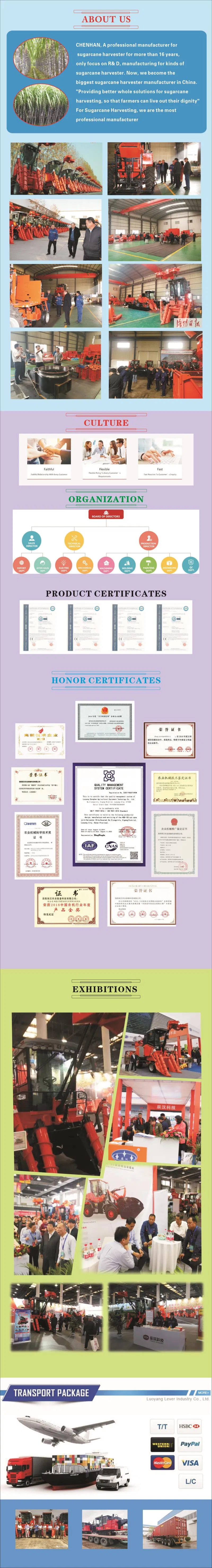 Saccharum Harvester, Saccharum Combine Harvester, Saccharum Harvesting Machine