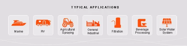 Seaflo 12V DC Electric Mini Diaphragm Pump