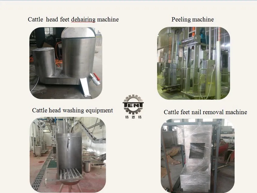 Slaughter Equipment/Cattle Bovine Beef/Cattle Knife