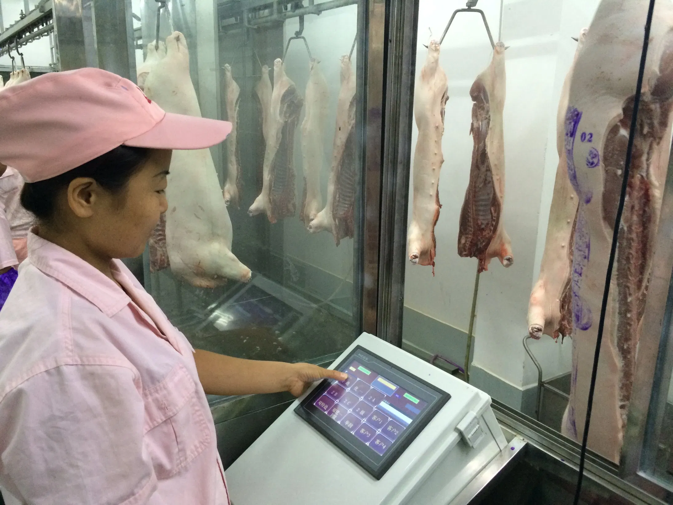 Slaughtering Equipment for Pig Meat Processing Cutting Butcher Abattoir Line