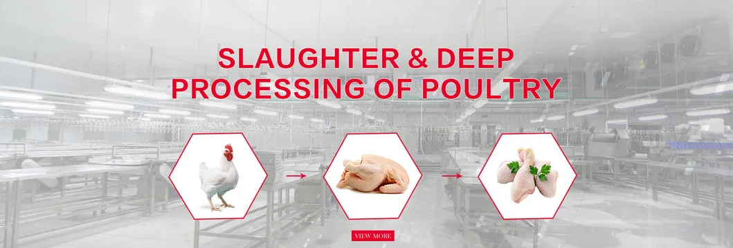 Small Capacity 300bph 200bph 500bph Full Automatic Compact Poultry Slaughtering Production Line Equipment