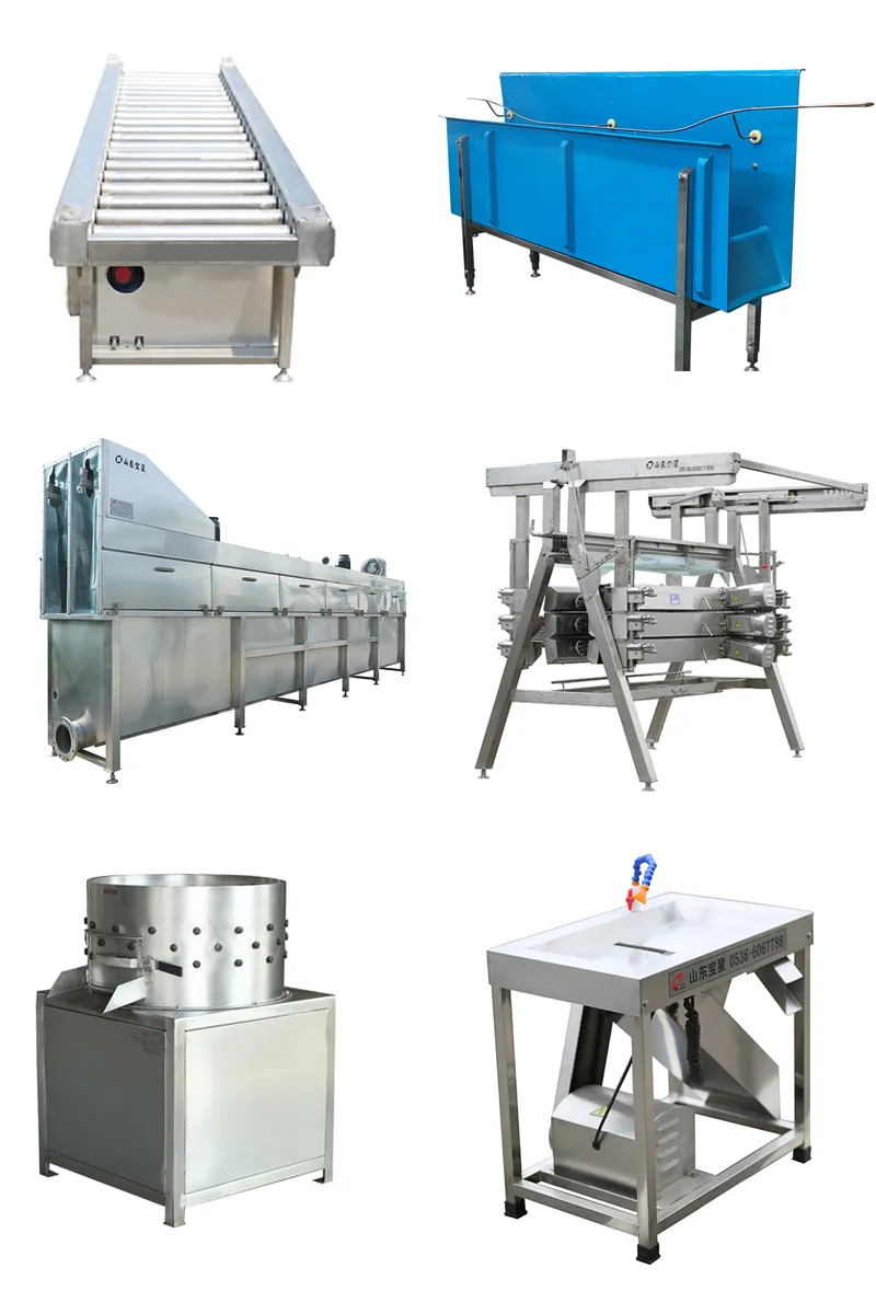 Small Capacity 300bph 200bph 500bph Full Automatic Compact Poultry Slaughtering Production Line Equipment