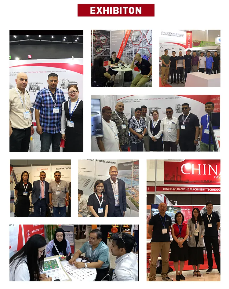 Small Capacity 300bph 200bph 500bph Full Automatic Compact Poultry Slaughtering Production Line Equipment