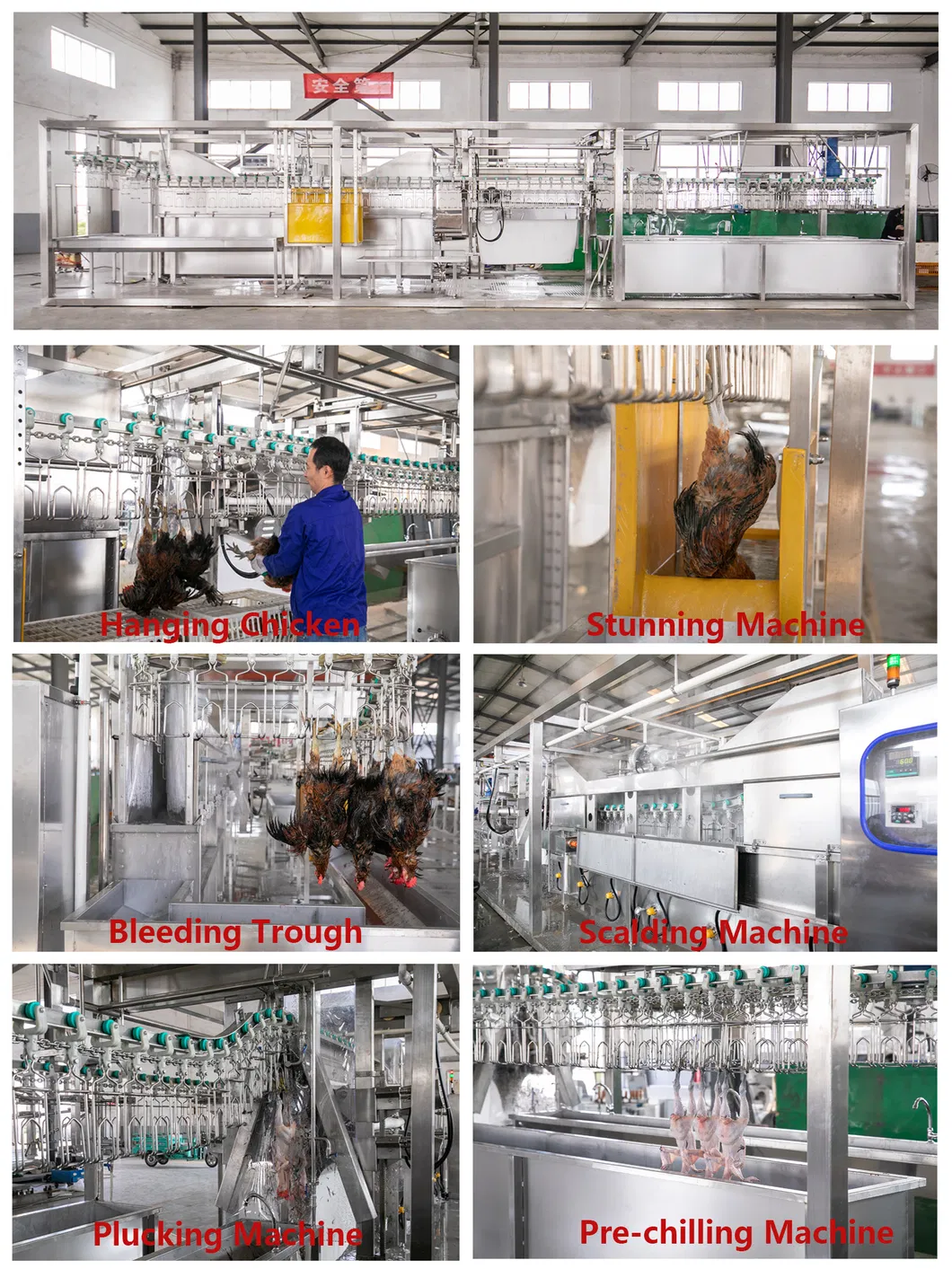 Small Capacity 300bph 200bph 500bph Full Automatic Compact Poultry Slaughtering Production Line Equipment