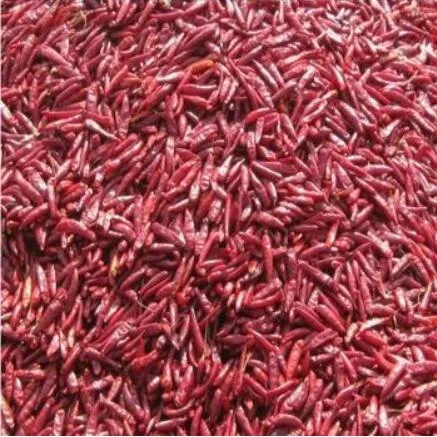 Small Electric Home Use Pepper Picker Picking Machine / Chili Thresher / Chili Harvesting Machine