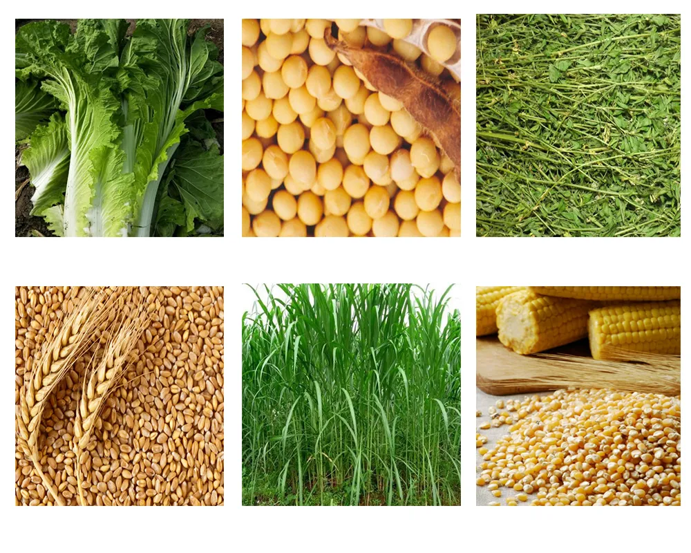 Small Farm Poulrty Feed Pellet Machinery Hot Sale in Kenya