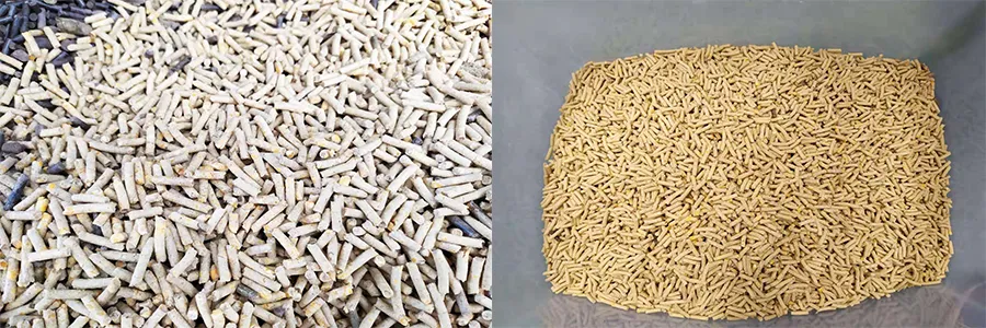 Small Farm Poulrty Feed Pellet Machinery Hot Sale in Kenya