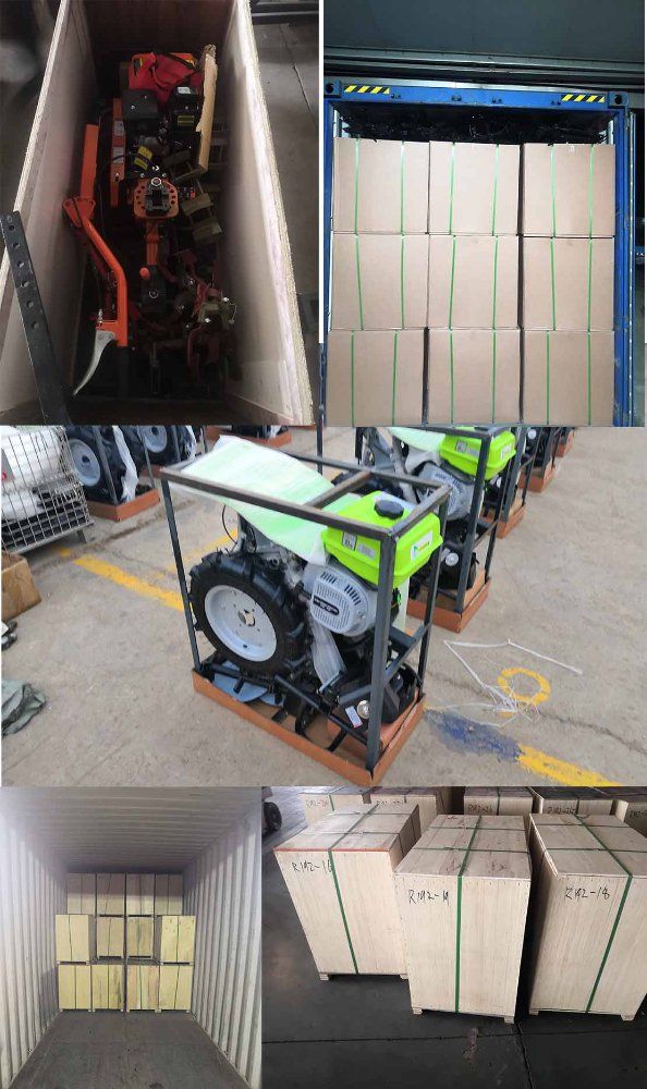 Small-Scale Agricultural Machinery/Farm Equipment/Mini Rotary Tiller