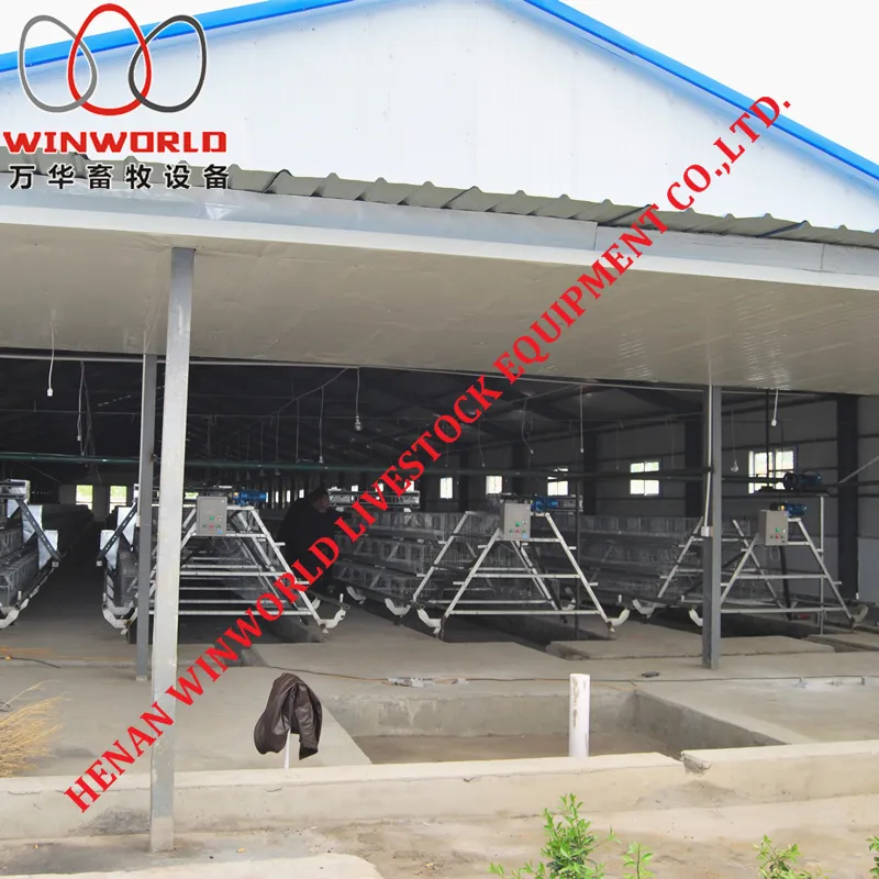 Togo Poultry Farm A Type Battery Broiler Cage with 108 Birds & Chicken Cage with Hot Galvanized for Sale