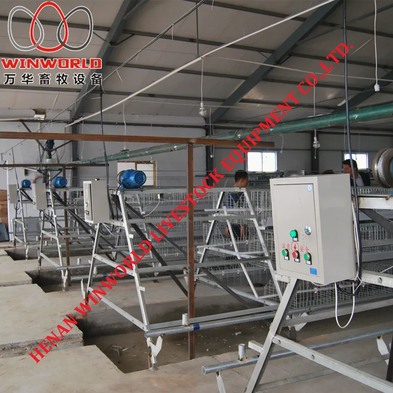 Togo Poultry Farm A Type Battery Broiler Cage with 108 Birds & Chicken Cage with Hot Galvanized for Sale