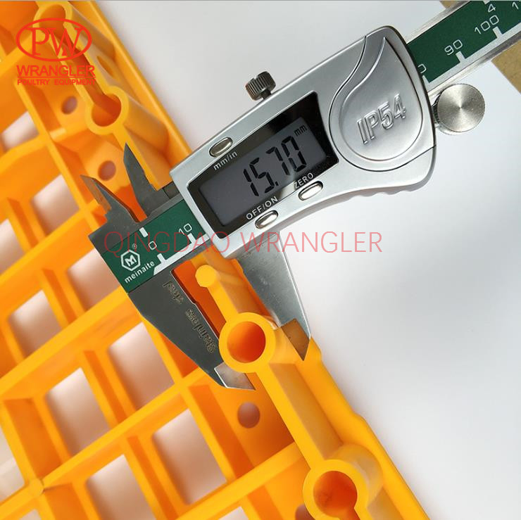 Turnover Plastic Duck/Chicken/ Pigeon Basket Transport