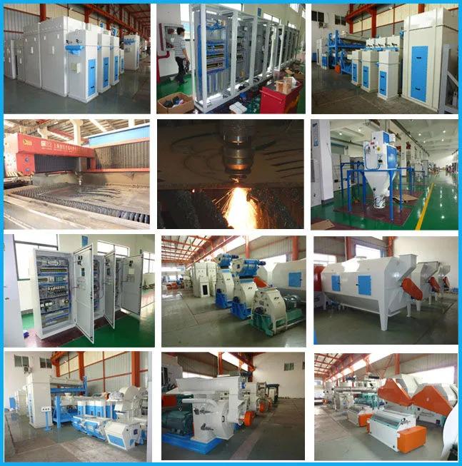 Wheat Bran Single Screw Extruder Machine