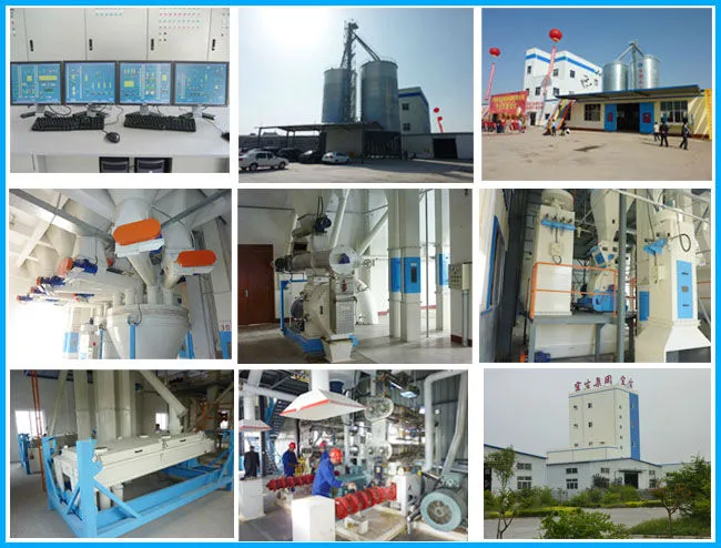 Wheat Bran Single Screw Extruder Machine