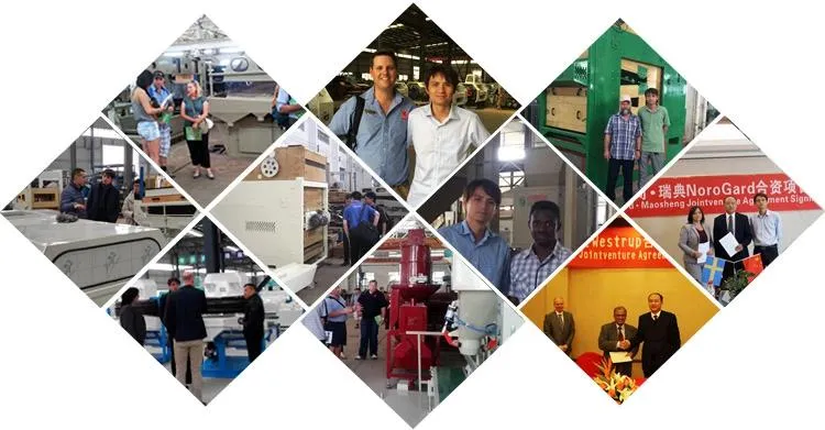 Wheat Seed Coating Machine for Seed Processing Line