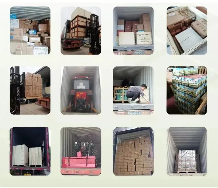 Yanmar Harvester Parts LC109/LC110/LC58/LC62/Sc70/Lb58/B45h V-Belt