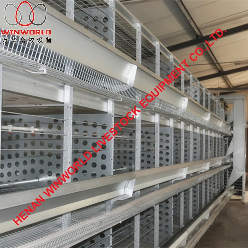 Zimbabwe Full Automatic H Frame Layer Breeder Chicken Cage Equipment for Poultry Farm